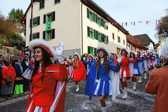 Bild 20: Bilder vom Umzug beim 35. Schlüchttalnarrentreffen &ndash; Teil 2