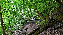 Wenn man vom Anleger an der Marienschlucht in Richtung Wallhausen läuft, kommt an einer Weggabelung diese Absperrung. Nach Wallhausen ...