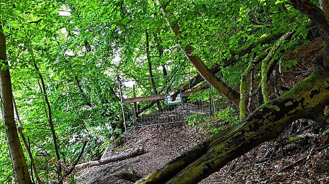 Wenn man vom Anleger an der Marienschlucht in Richtung Wallhausen läuft, kommt an einer Weggabelung diese Absperrung. Nach Wallhausen ...
