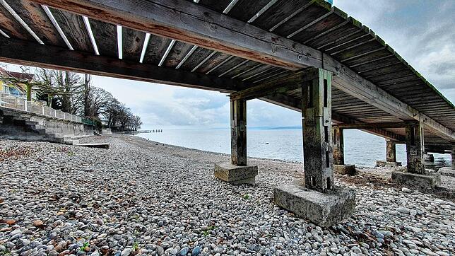 Ein privater Seezugang unterhalb eines Grundstücks zwischen Unteruhldingen und Meersburg. Die natürliche Uferzone stellt eine ...