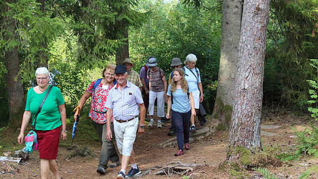 Nach dem Vortrag des Meteorologen wanderte die Gruppe über Stege und Waldwege durch das Moor.