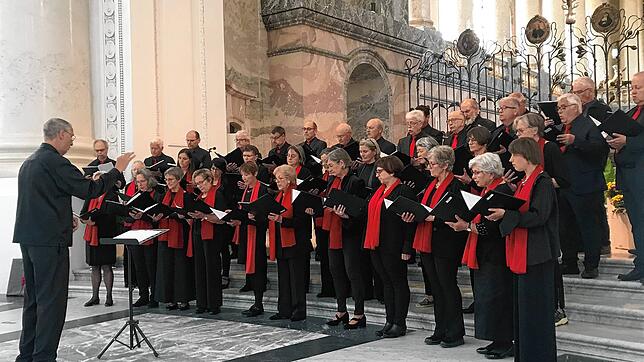 Bei der Verabschiedung von seinem Leiter Michael Neymeyer sang der Domchor eine Haydn-Messe. Foto: Karin Steinebrunner