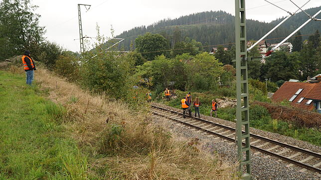 Bevor der Ausbau der Breisgau-S-Bahn weitergeht, sind die Experten für die umweltfreundliche Bahnüberwachung am Werk. Bild: Gerold Bächle