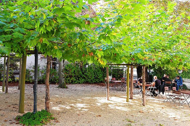 Dies ist der Biergarten, der zum Wollmatinger Gasthaus Löwen gehört. Die Bäume müssten bei einem Eigentümerwechsel erhalten werden.