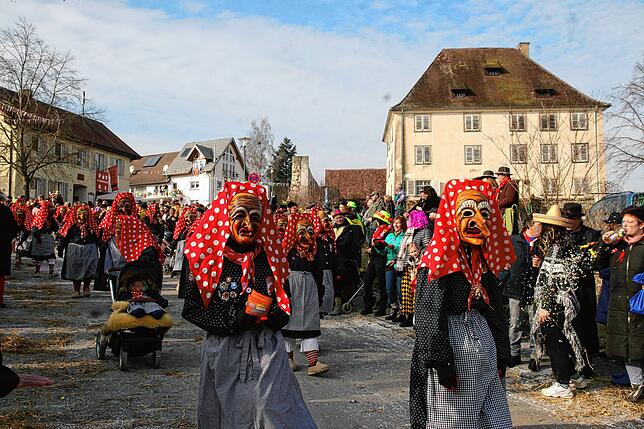 Bild 15: So schön war der Jubiläumsumzug zum 60 jährigen Bestehen der Sunnelöscherzunft