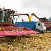 Die Ukraine ist eine der Kornkammern der Welt. Auf riesigen Flächen wird wie hier in der Nähe von Kiew im Jahr 2015 normalerweise Mais ...