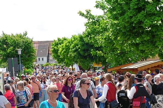 Bild 13: Jubiläumsumzug zum 175. Geburtstag der Musikkapelle Mundelfingen krönt vier stimmungsvolle Tage.