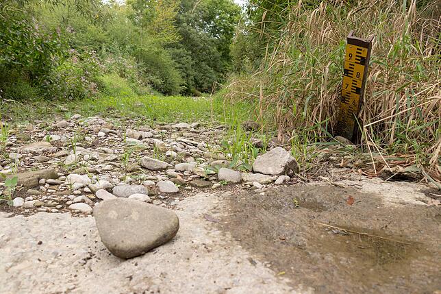 Viele Oberflächengewässer führten aufgrund mangelnden Niederschlags im Sommer 2018 extrem wenig oder gar kein Wasser. Die Steina, hier ...