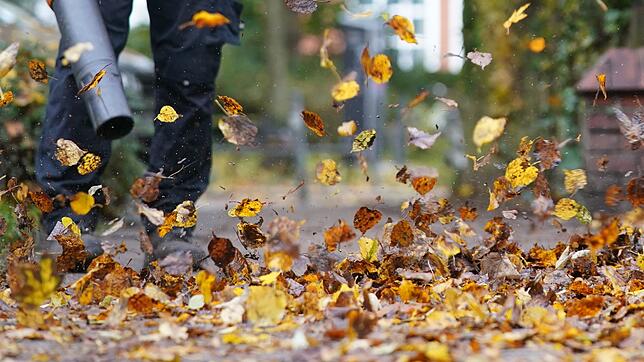Zürich will den Einsatz nur noch von Oktober bis Dezember erlauben. (Symbolfoto)
