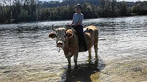 Kuh im Wasser des Rheins, Reiterin im Glück: Redakteurin Jacqueline Weiß hat das Kuhtrekking bei Hemishofen ausprobiert.