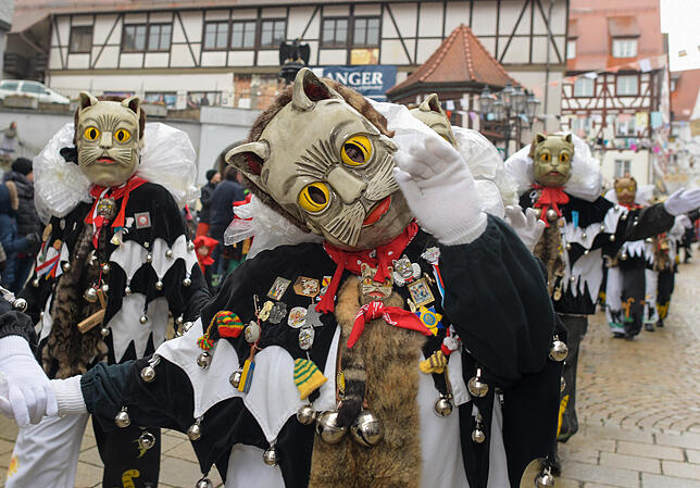 Bild 28: Tausende Hästräger und Musiker in Pfullendorf: Bilder vom Umzug (2)