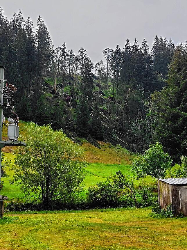 Sturmfolgen am 25. August in Furtwangen: Im Bereich Schochenbach haben die Böen ein kleines Waldstück umgeworfen.