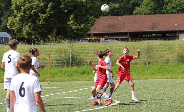 Bild 5: Unsere Bildergalerie vom Pokalfinale der D-Junioren zwischen dem FC Pfaffenweiler und SG Peterzell!
