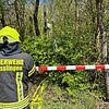 Ein Feuerwehrmann beobachtet, wie seine Kameraden das abgestürzte Flugzeug sichern. Es steckt senkrecht zwischen den Bäumen.