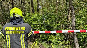 Ein Feuerwehrmann beobachtet, wie seine Kameraden das abgestürzte Flugzeug sichern. Es steckt senkrecht zwischen den Bäumen.