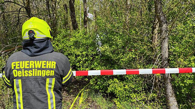 Ein Feuerwehrmann beobachtet, wie seine Kameraden das abgestürzte Flugzeug sichern. Es steckt senkrecht zwischen den Bäumen.