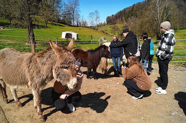 Die Besucher sind auf die Vierbeiner ebenso neugierig wie umgekehrt.