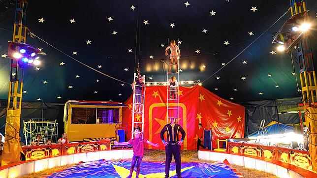 Beim Mitmach- Zirkus beweisen die jungen Künstler ihr artistisches Geschick auch an einer Leiter. Bild: Hans-Jürgen Sackmann