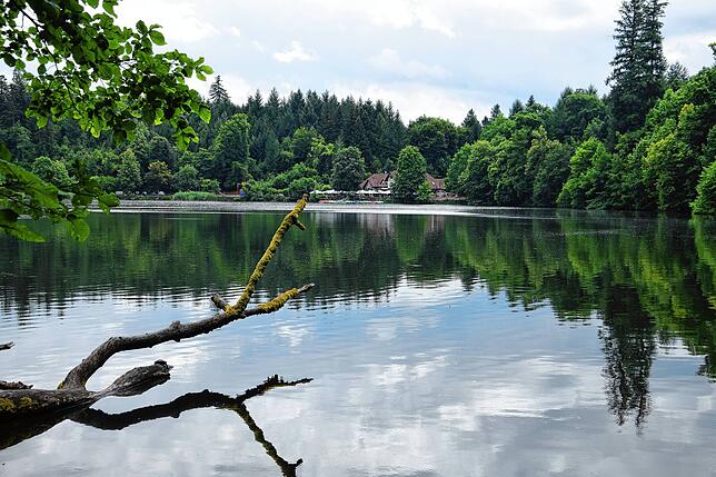 Nahe des idyllisch gelegenen Bergsees in Bad Säckingen findet sich der Kletterwald Hochempor.