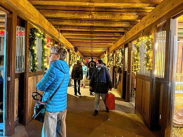 Bild 1: Donaueschingen wird in der Fürstenberg Weihnachtswelt zum Zentrum der Adventszeit
