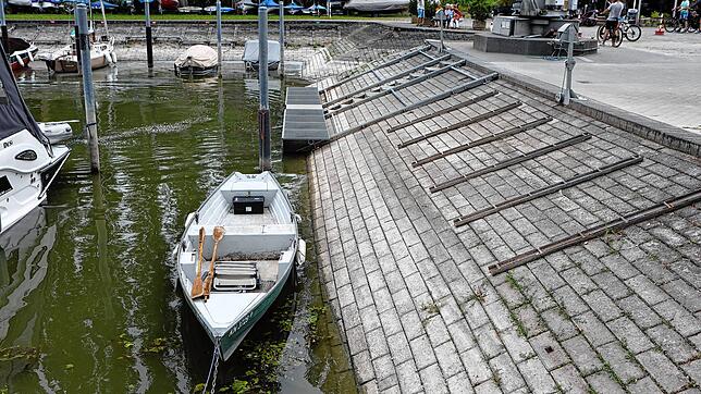 Niedrigwasser Moos am Hafen 2022 Bild: Oliver Hanser