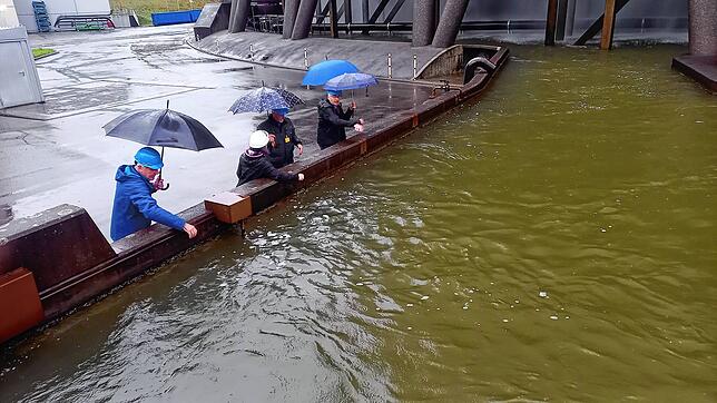 Ganz schön warm: Das Wasser aus dem Kühlturm regnet mit etwa 26 Grad in das Kühlturmbecken ab.