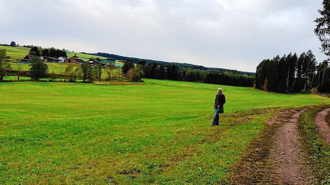 Ortsvorsteherin Annette Hilpert zeigt die Grünfläche, auf der eine Freiflächen-Solaranlage geplant ist. Im Hintergrund der Nachtwaidhof. ...