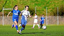 Bild : Unsere große Bildergalerie vom Oberligaspiel des Hegauer FV gegen den 1.FC Mühlhausen