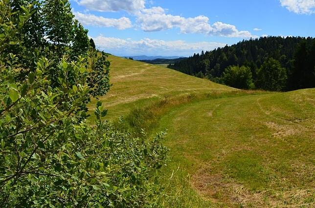 Start des Murgtalpfads: Als kleines Rinnsal macht sich die Murg auf ihren Weg hinab ins Rheintal.