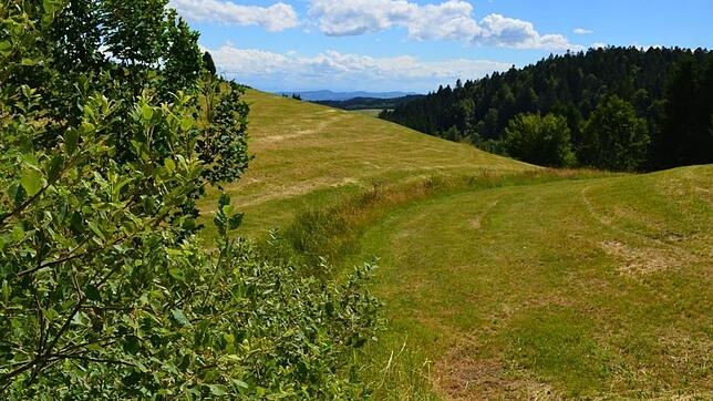 Start des Murgtalpfads: Als kleines Rinnsal macht sich die Murg auf ihren Weg hinab ins Rheintal.