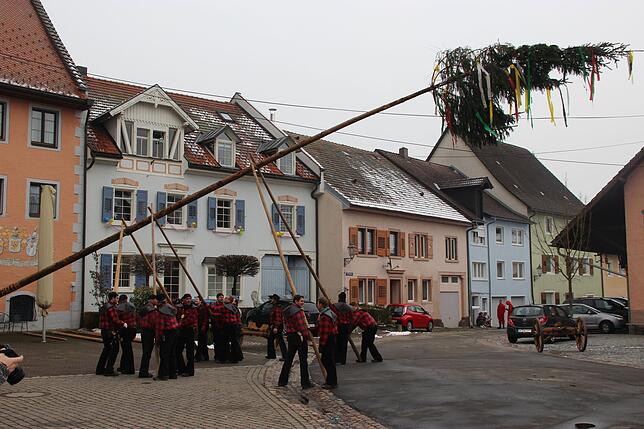 Die 16 Zäche stellen jedes Jahr mit großer Muskelkraft den Stühlinger Narrenbaum.