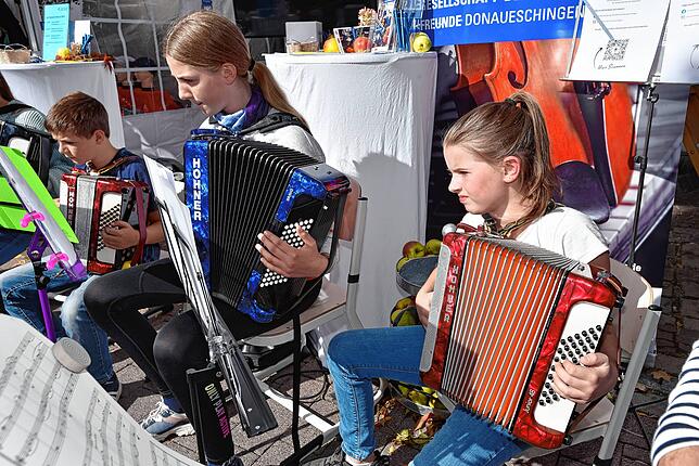 Bild 1: Tolle Donaueschinger Herbstfeststimmung...