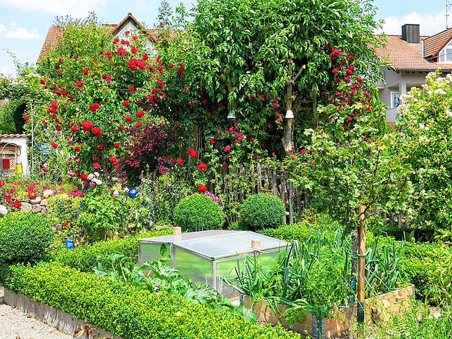 Gepflegt: Auch Gemüse und Salat gedeihen prächtig in dem gepflegten Garten, ebenso eine Vielfalt an Kräutern. Natürliche Pflege und ...