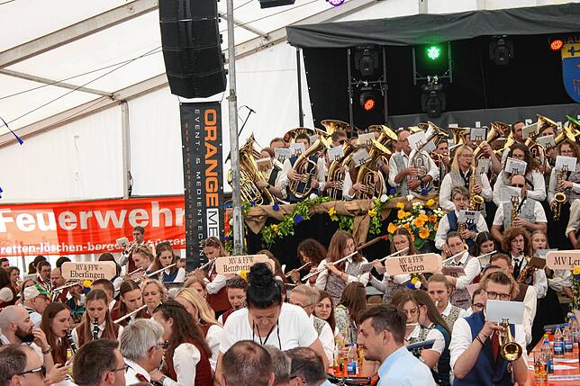 Bild 14: Gute Laune beim Bezirksmusikfest in Lausheim