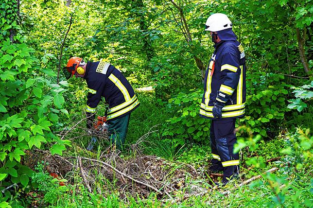 Bild 13: Bilder der Waldbrandübung der Feuerwehr Tengen