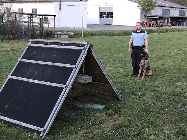 Bild 2: So lernen Polizeihunde, für unsere Sicherheit zu sorgen
