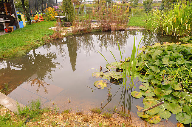 Dieser Teich befüllt sich selbst durch Grundwasser und ist eigentlich ein Bombenkrater aus dem Zweiten Weltkrieg.