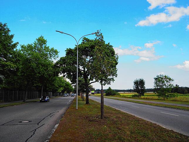 So sieht die Georg-Fischer Straße in der Singener Südstadt heute aus.