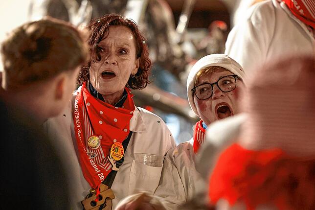 Bild 6: Fasnacht in Radolfzell: Diese Highlights prägten den Hemdglonkerumzug 2025 – Das sind die schönsten Bilder