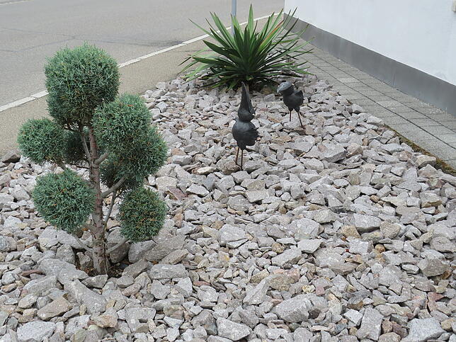 Hier könnten eigentlich Blumen auf einem Stückchen wertvoller Erde blühen. Solche Schottergärten haben keinerlei ökologischen Nutzen.