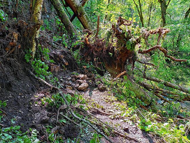 So sieht es auf dem Wanderweg in der Gauchachschlucht zwei Tage nach dem Baumsturz aus: Das Fortkommen ist mühsam.