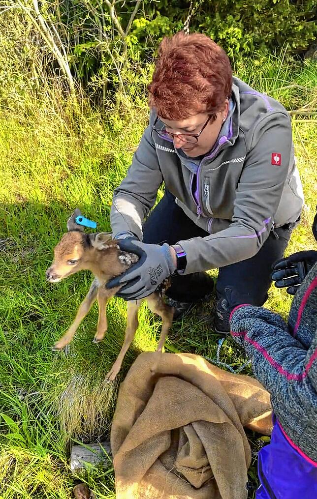 Sabrina Heckler setzt die Drohne zur Suche nach Rehkitzen vor der Mahd ein.