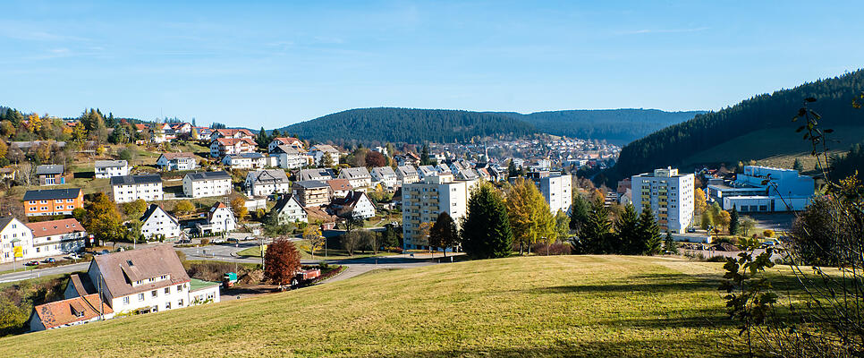 Furtwangen (126129789)