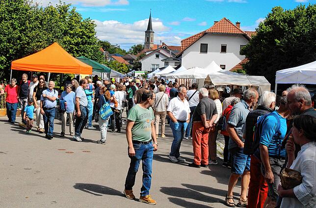 Bild 15: So schön war es auf dem Brunnenfest in Döggingen