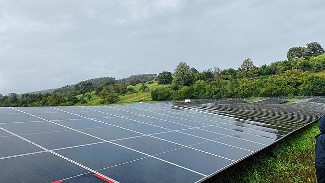 Auf Zimmerholzer Gemarkung könnte schon bald eine Freiflächensolaranlage wie hier im Beispiel einer Anlage in Radolfzell entstehen.