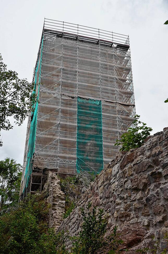 In die Fassade des Nordturms der Ruine Roggenbach werden 16 künstliche Fledermausquartiere eingebaut.