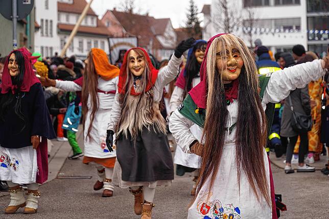 Bild 9: Fasnetumzug in Schwenningen