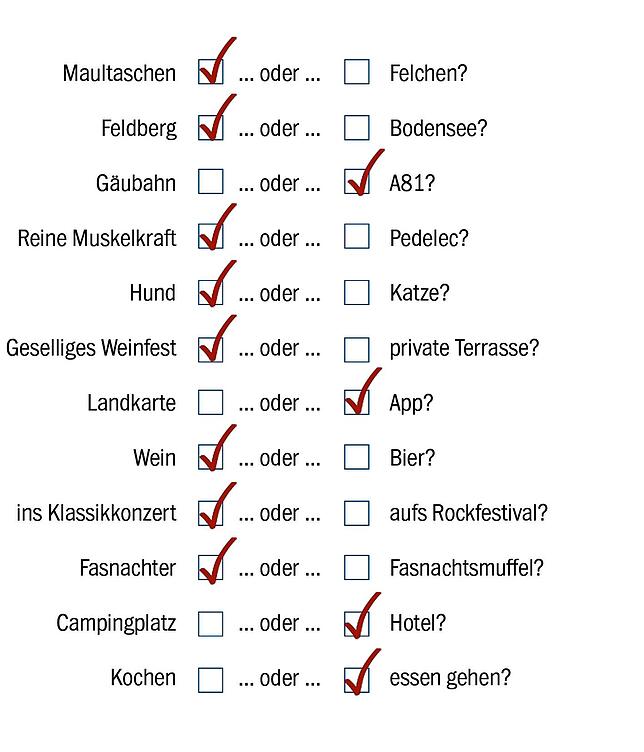 Bild 1: Bundestagswahl 2021: Kandidat Marcel Klinge (FDP) will für den Wahlkreis Schwarzwald-Baar in den Bundestag