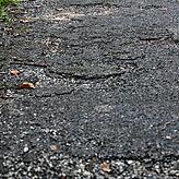 Bild 6: Warum die Fontainebleau-Allee kein Aushängeschild der Stadt Konstanz ist &ndash; im Gegensatz zum Boulevard de Constance in Fontainebleau