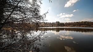 Das Idyll am Güttinger See: Das beliebte Buchenseebad soll doch noch gerettet werden. Nun fordert auch der Gemeinderat eine erneute ...